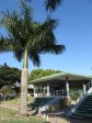reservoir-hills-papwa-sewgolum-golf-club-s29-48-00-e-30-58-00-elev-21m-16