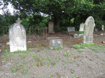 Richmond Cemetery - Grave - Lizzie Newlands & Family