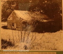 Richmond Museum Blarney Cottage 1878 built by Fred &  Sophie McleodJPG (3.) (2).