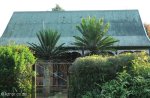 richmond-russel-st-houses-s29-53-200-e30-16-458-elev-865-5
