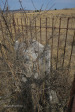 Rietvlei-Cemetery-grave-Albert-Knox-49