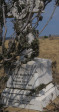 Rietvlei-Cemetery-grave-Grace-Otto-1896-27
