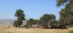 Riverside station Paton Country steam train (11)