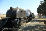 Riverside station Paton Country steam train (7)