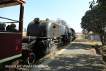 Riverside station Paton Country steam train (8)