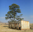 Rverside old railway residences (2)