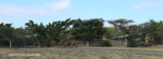 Fugitives Drift Guest House (4)