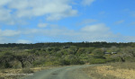 Fugitives Drift Lodge (3)