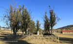Rorkes Drift British Cemetery in stockade (3)
