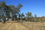 Rorkes Drift British Cemetery north of drift 28.23.29 S 30.36.00 E (1)