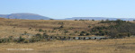 Rorkes Drift British Cemetery north of drift (7)