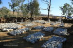 Rorkes Drift British Cemetery north of drift soldiers graves  (10)