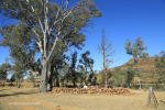 Rorkes Drift British Cemetery north of drift soldiers graves  (6)