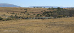 Rorkes Drift Buffalo river crossing (2)