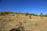 Rorkes Drift Oskarsburg bell 1929 (6)
