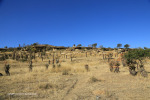 Rorkes Drift Oskarsburg bell 1929 (7)