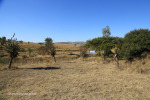 Rorkes Drift pontoon crossing 28.20.54 S 30.32.23 E (1)
