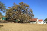 Rorkes Drift residence (4)