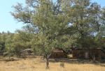 St Augustine Mission Church outbuildings (3)