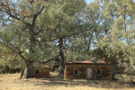 St Augustine Mission Church outbuildings (5)