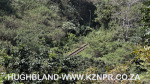 Royston-Hall-NCP-rail-tunnel-10