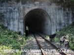 Royston-Hall-NCP-rail-tunnel-3