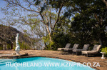 Royston-Hall-swimming-pool-5
