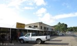 dolphin-centrum-2_0