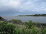 saint-lucia-estuary-mouth-1