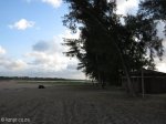 saint-lucia-estuary-mouth-3