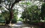 saint-lucia-main-street-2