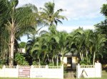 saint-lucia-main-street-35