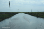vidal-road-flood-1