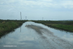 vidal-road-flood-2