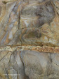 Salt-Rock-rock-formation-and-old-pier5