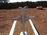 Schuinshoogte Military Cemetery (East) - Anglo Boer War (1899 -1900) - Grave  L.Cpl F Leonard - 1st Devons - died 13 Feb 1900 (2)