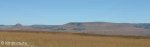 Schuinshoogte Military Cemetery (East) - Views towards Bothas Pass