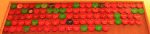 Scottburgh Bowling Club Tabs in (1)
