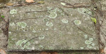 Scottburgh Cemetery grave Margaret Vaughan