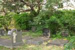 Scottburgh Cemetery grave Martin & Thomas