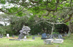 Scottburgh Cemetery grave Van Staden