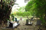 Scottburgh Cemetery grave overviews (1)