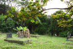 Scottburgh Cemetery grave overviews (9)