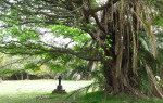 Scottburgh Cemetery grave view