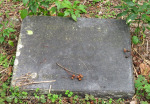 Scottburgh Cemetery graveunknown