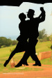 Scottburgh Golf Club windows (2)