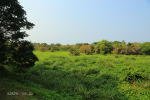 Pennington Conservancy - S 30.22.440 E 30.41 (3)