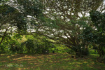 Pennington Conservancy - S 30.22.440 E 30.41 (4)