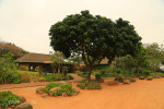 Scottburgh - Crocworld -  (4)