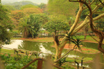 Scottburgh - Crocworld -  (6)